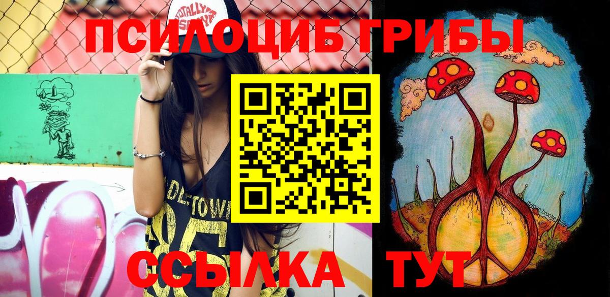 Валуйки  Псилоцибиновые грибы мицелий  Вход с VPN 